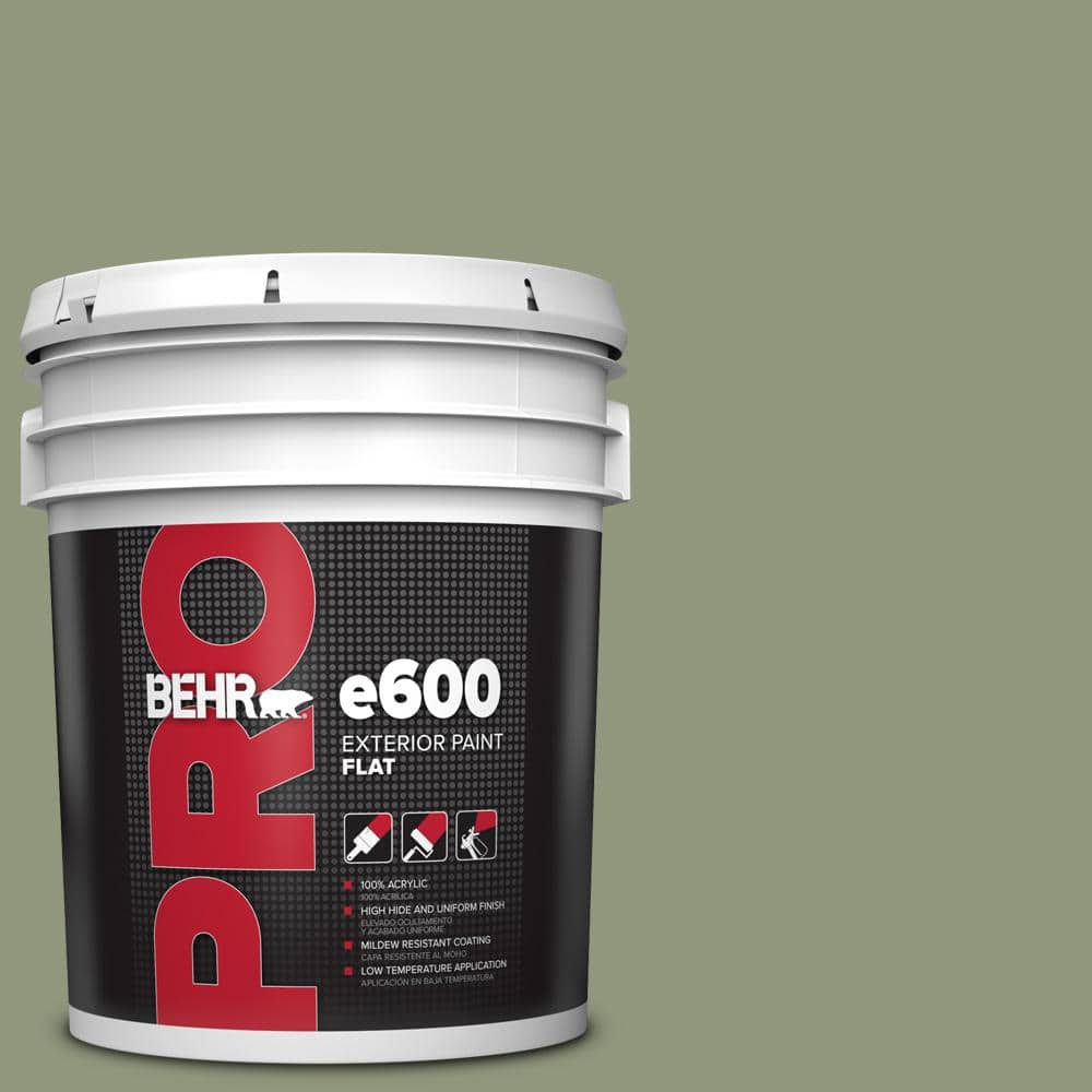 BEHR PRO 5 gal. #ECC-63-1 Autumn Sage Flat Exterior Paint