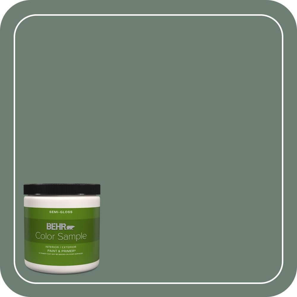 BEHR PREMIUM PLUS #460F-5 Island Palm Flat Low Odor & Primer (1)