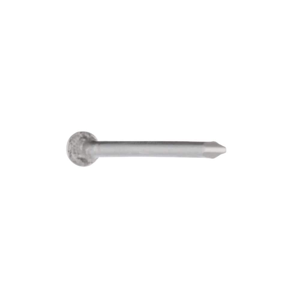 Everbilt #17 x 1 in. Stainless Wire Nails (1 oz. per Pack) (2)