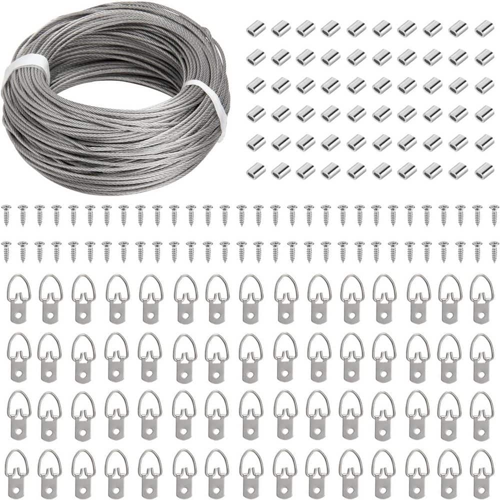 Adrinfly Stainless Steel Picture Hanging Kit with Wire, D Ring Hangers, Screws, and Aluminum Crimping Loop Sleeve Silver (1)
