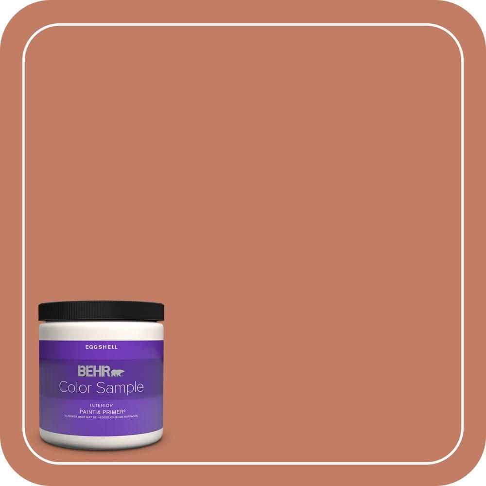 BEHR PREMIUM PLUS #220D-6 Miami Spice Enamel Interior/Exterior Paint & Primer Color Sample (1)