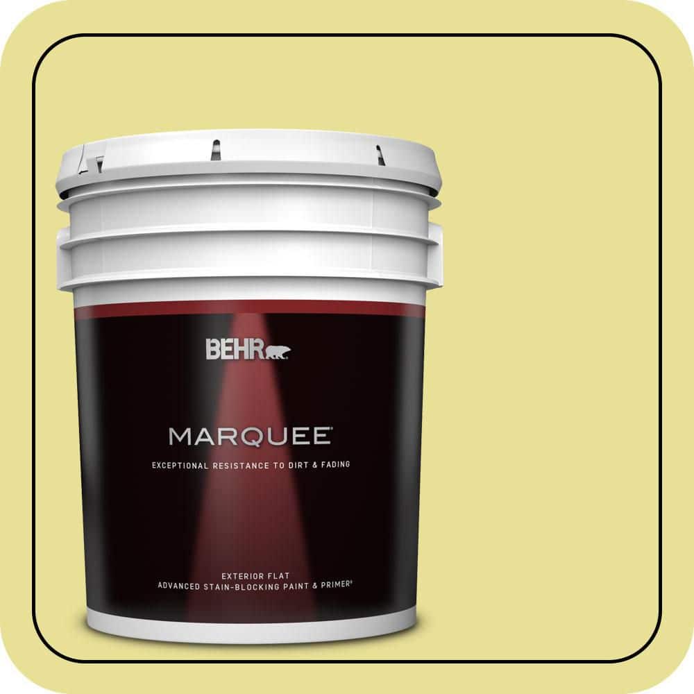BEHR MARQUEE 5 gal. #P340-3 Reviving Green Flat Exterior Paint & Primer