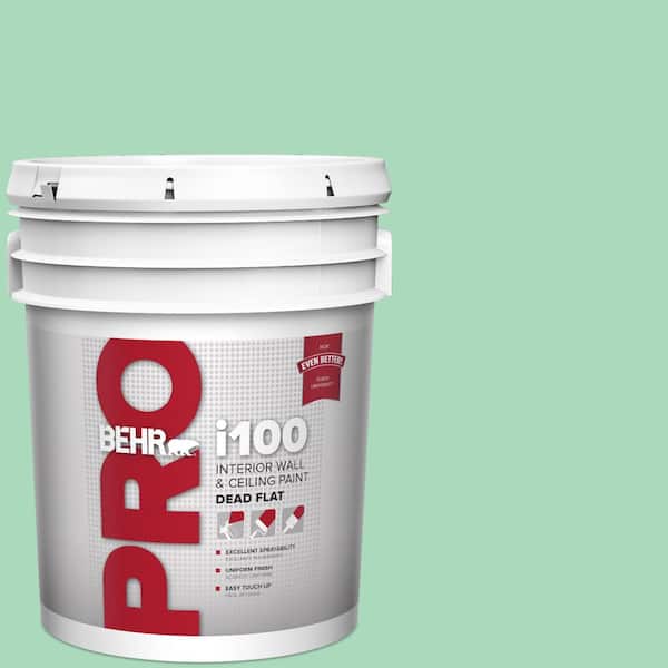 BEHR PRO 5 gal. #P410-3 Shanghai Jade Dead Flat Interior Paint (2)