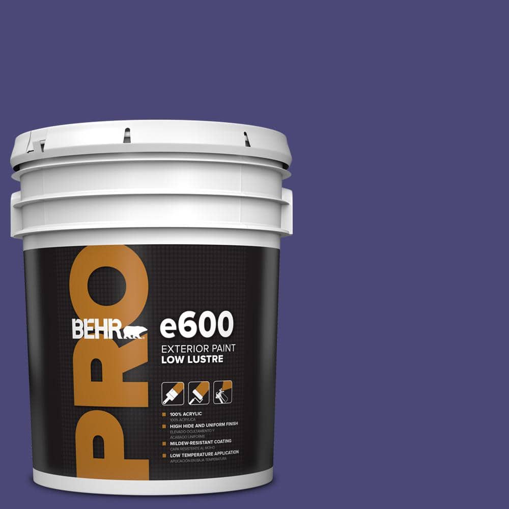 BEHR PRO 5 gal. #MQ5-43 Dramatist Low Luster Exterior Paint