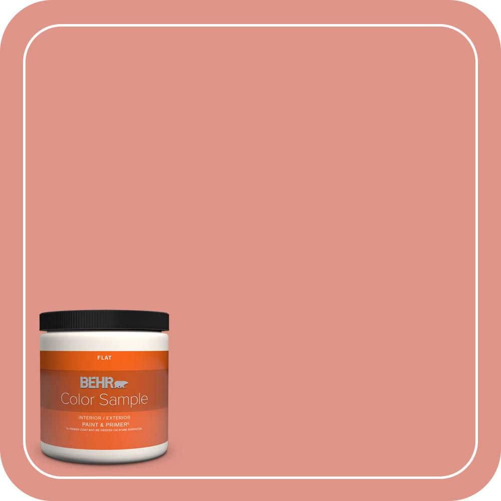 BEHR PREMIUM PLUS #BIC-18 Fresh Watermelon Flat Low Odor & Primer (1)