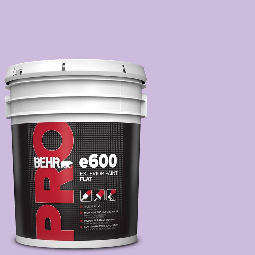 BEHR PRO 5 gal. #P570-2 Confetti Flat Exterior Paint