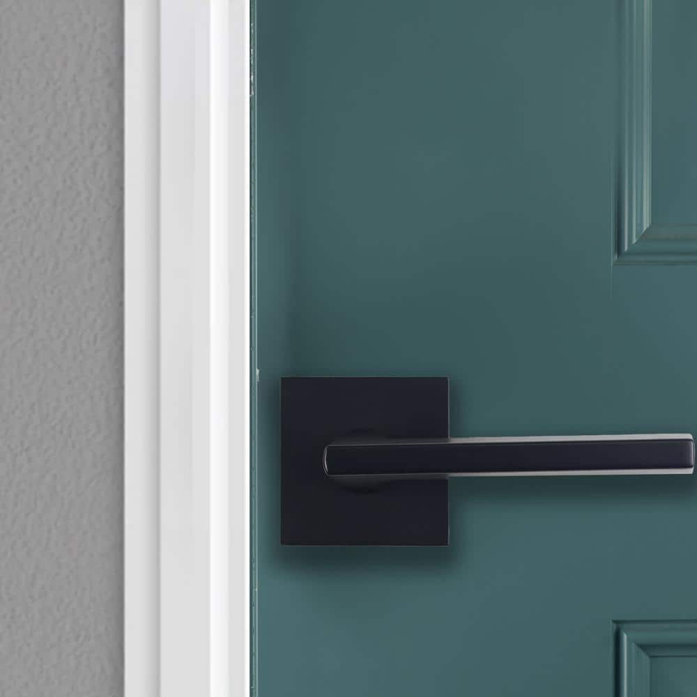 DELANEY HARDWARE 333SC Black Dummy Door Lever (3)