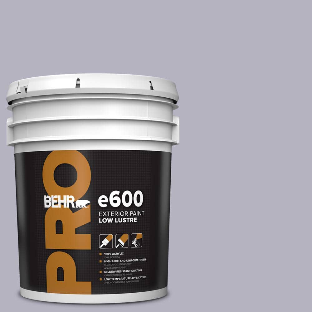BEHR PRO 5 gal. #N560-2 Coveted Gem Low Luster Exterior Paint