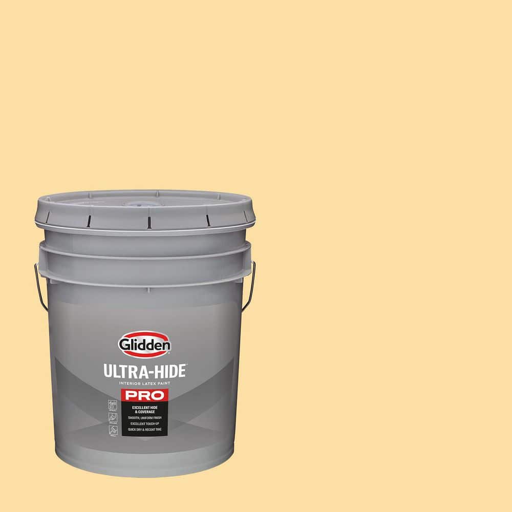 Glidden Ultra-Hide 5 gal. PPG1205-4 Honey Bee Satin Interior Paint