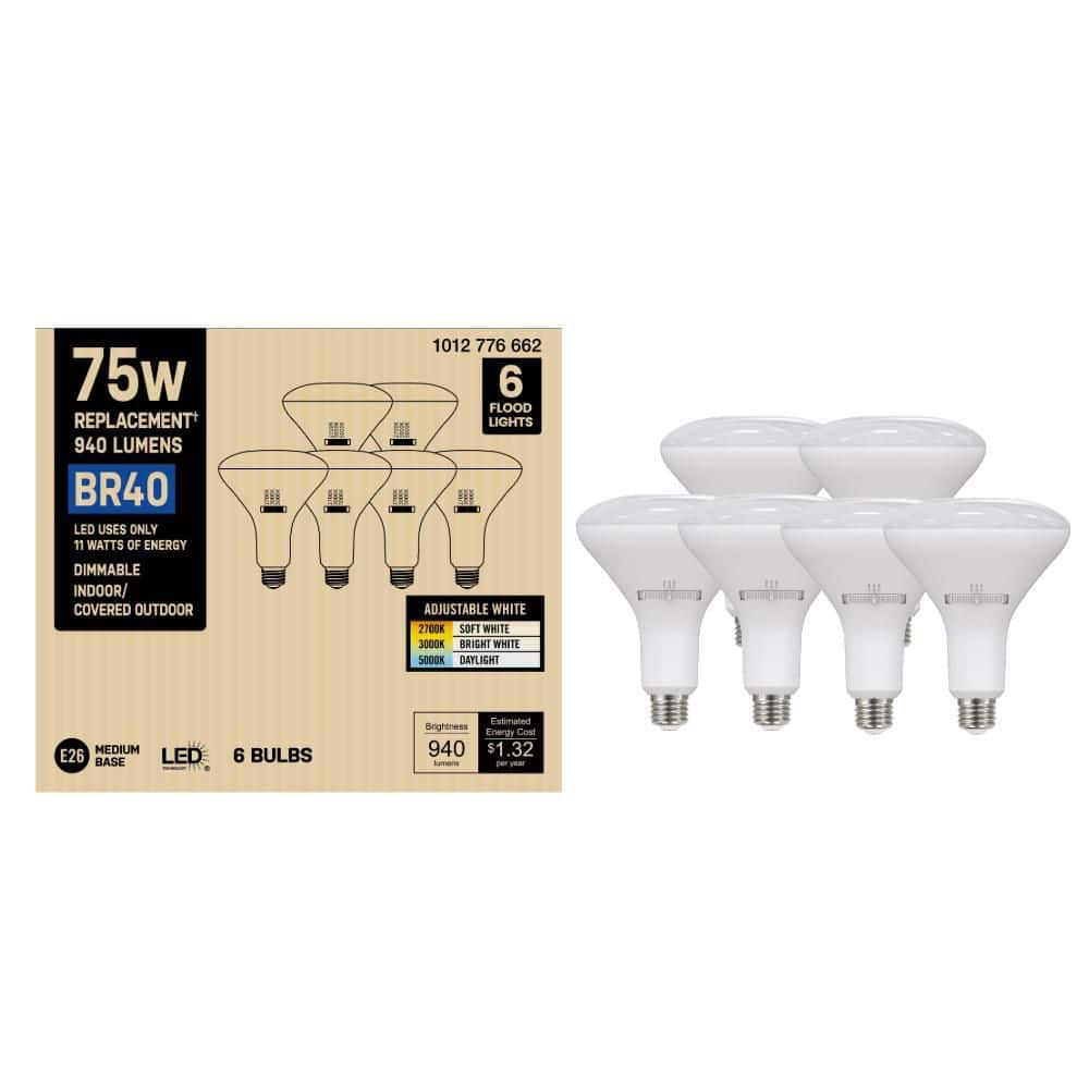 PRIVATE BRAND UNBRANDED 75-Watt Equivalent BR40 Dimmable LED Light Bulb With Selectable Color Temperature (6-Pack) (2)