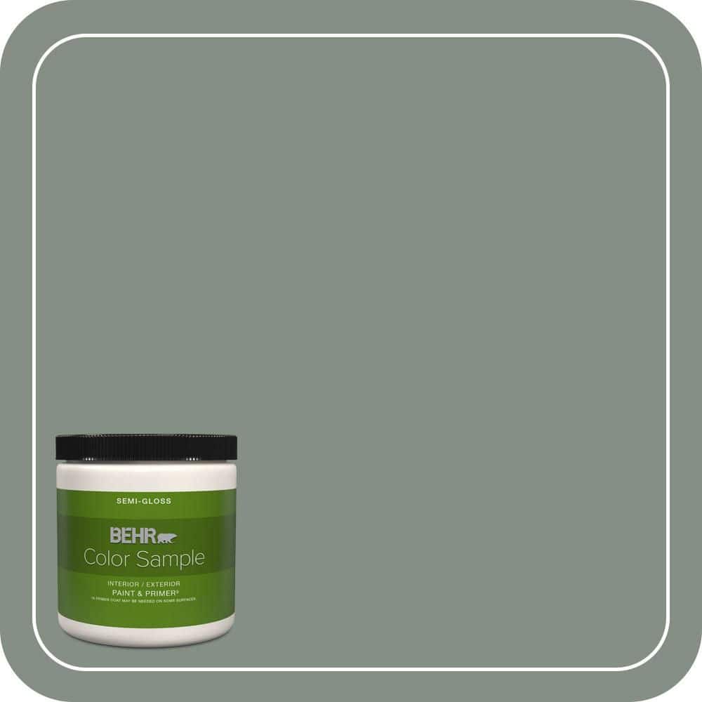 BEHR PREMIUM PLUS #ECC-49-3 Forest Moss Interior/Exterior Paint & Primer Color Sample (1)
