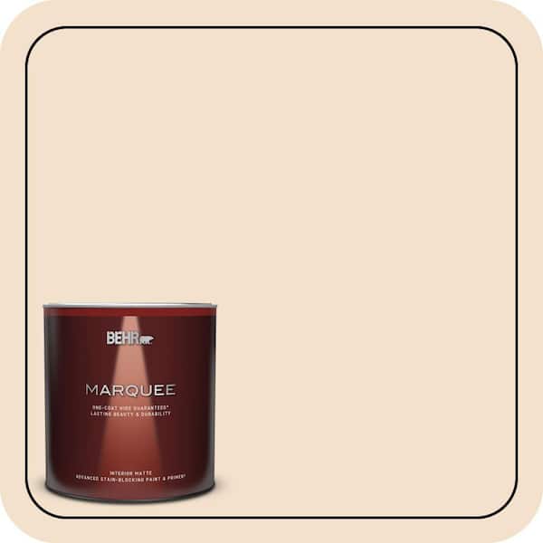 BEHR PREMIUM PLUS #BWC-08 Pebble Cream Enamel & Primer Color Sample (2)