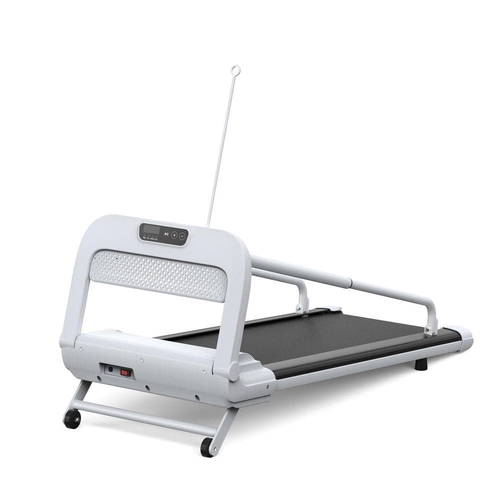 Tidoin New Quiet Modern Smart Pet Treadmill with Adjustable Speed, LED Display and Inclines (1)