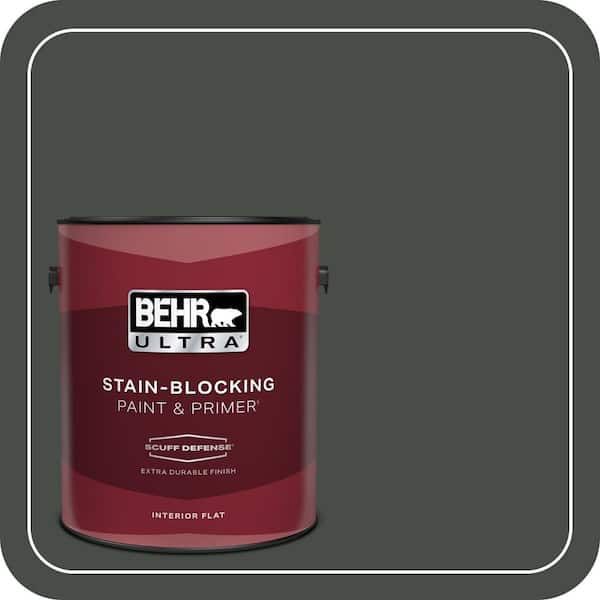 BEHR PREMIUM PLUS #PPF-55 Forest Floor Flat Low Odor & Primer (4)