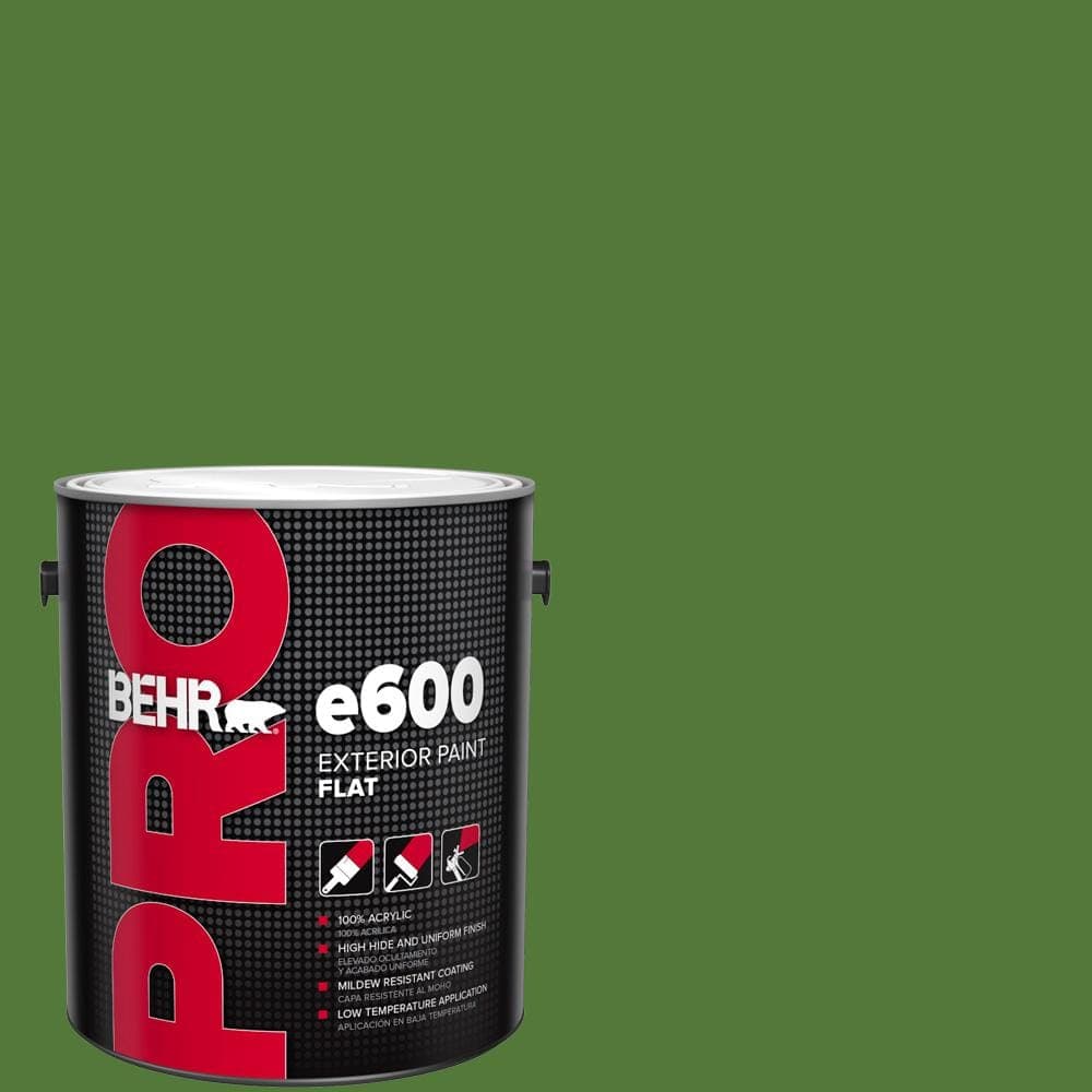 BEHR PRO 1 gal. #P380-7 Luck of the Irish Flat Exterior Paint
