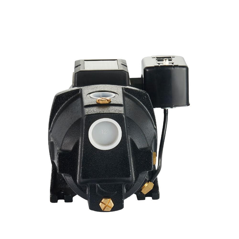 LEO 1/2 HP Dual Voltage Cast Iron Shallow Well Jet Pump (3)