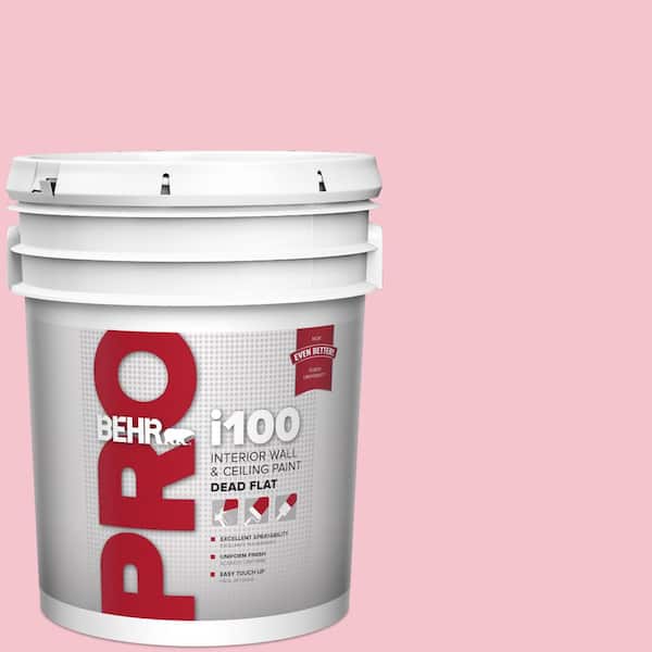 BEHR PRO 5 gal. #P150-2 Energetic Pink Dead Flat Interior Paint (2)