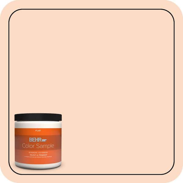 BEHR PREMIUM PLUS #250C-2 Sugared Peach Enamel Low Odor & Primer (4)