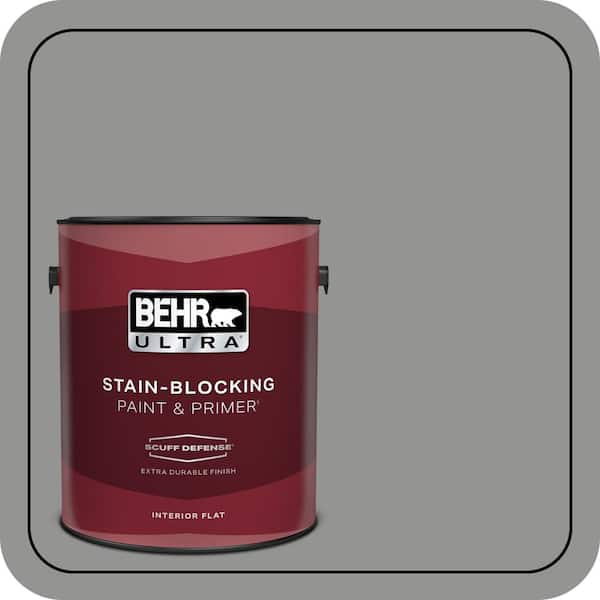 BEHR PREMIUM PLUS #780F-5 Anonymous Enamel Interior/Exterior Paint & Primer Color Sample (4)