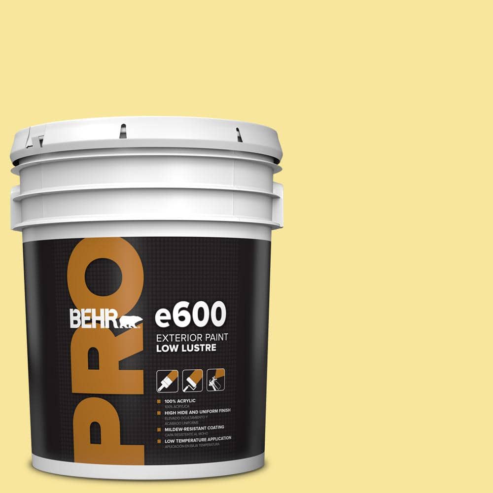 BEHR PRO 5 gal. #P310-4 Storm Lightning Low Luster Exterior Paint