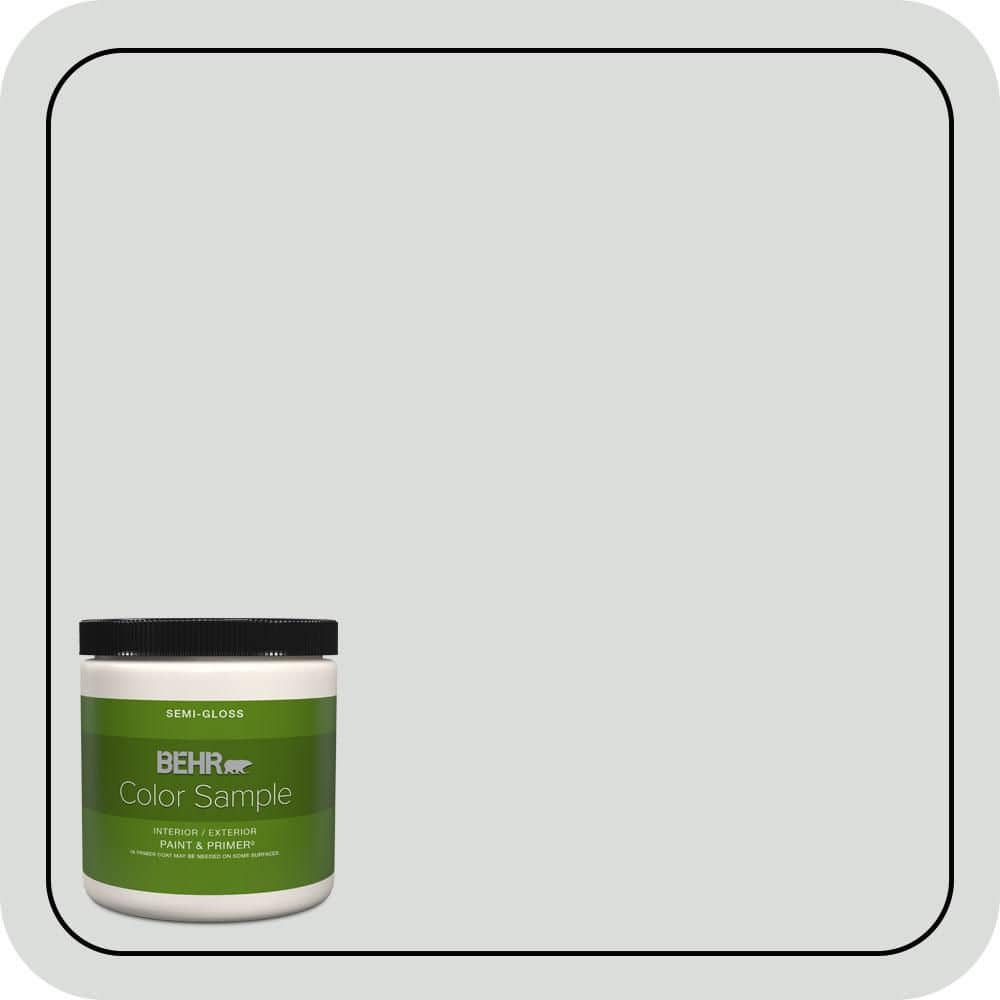 BEHR PREMIUM PLUS #N500-1 Shiny Luster Interior/Exterior Paint & Primer Color Sample (1)