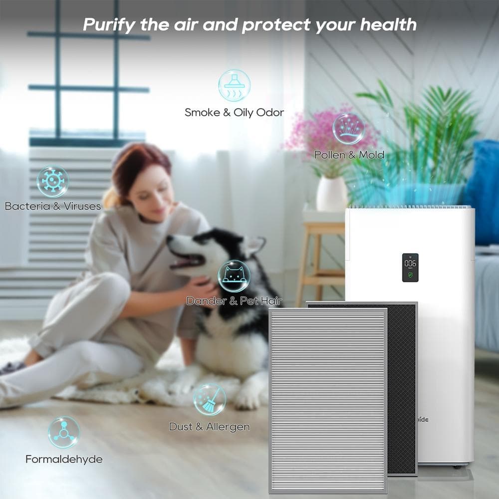 Deeshe Air Purifier Replacement Filters 3-in-1 True HEPA H13 for Allergies, Dust, Pollen, Smoke, Wildfire, Dandel 1 Set 2-Piece (3)