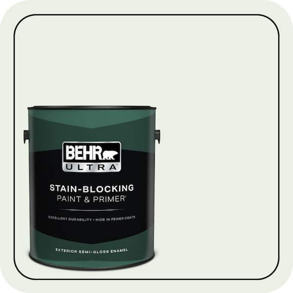 BEHR PREMIUM PLUS #440C-1 Cool White Enamel & Primer Color Sample (2)