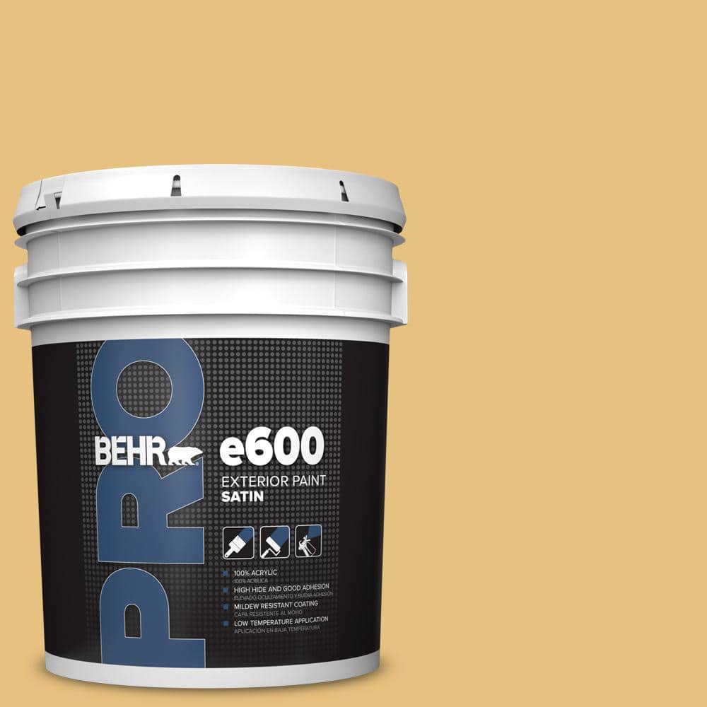 BEHR PRO 5 gal. #PPU6-14 Charismatic Satin Exterior Paint