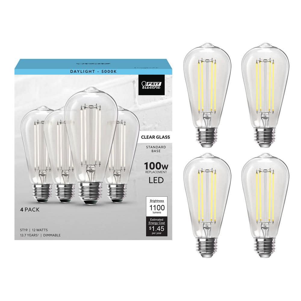 Feit Electric 100-Watt Equivalent ST19 Dimmable Straight Filament Clear Glass E26 Vintage Edison LED Light Bulb, Daylight (4-Pack)