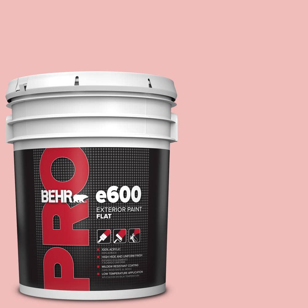 BEHR PRO 5 gal. #CE-01 Alpenglow Flat Exterior Paint