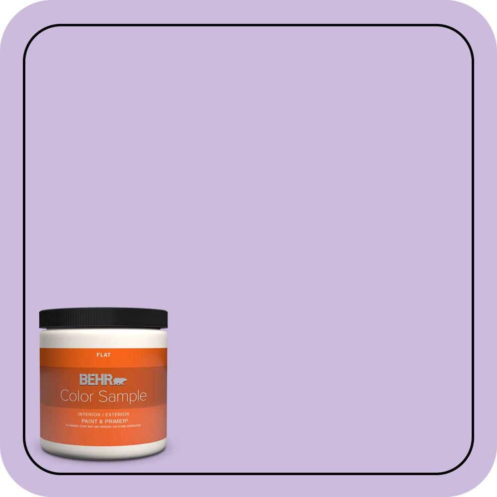 BEHR PREMIUM PLUS 8 oz. #P570-2 Confetti Flat Interior/Exterior Paint & Primer Color Sample