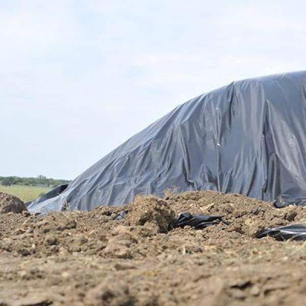 HDX 6 mil Plastic Sheeting (4)