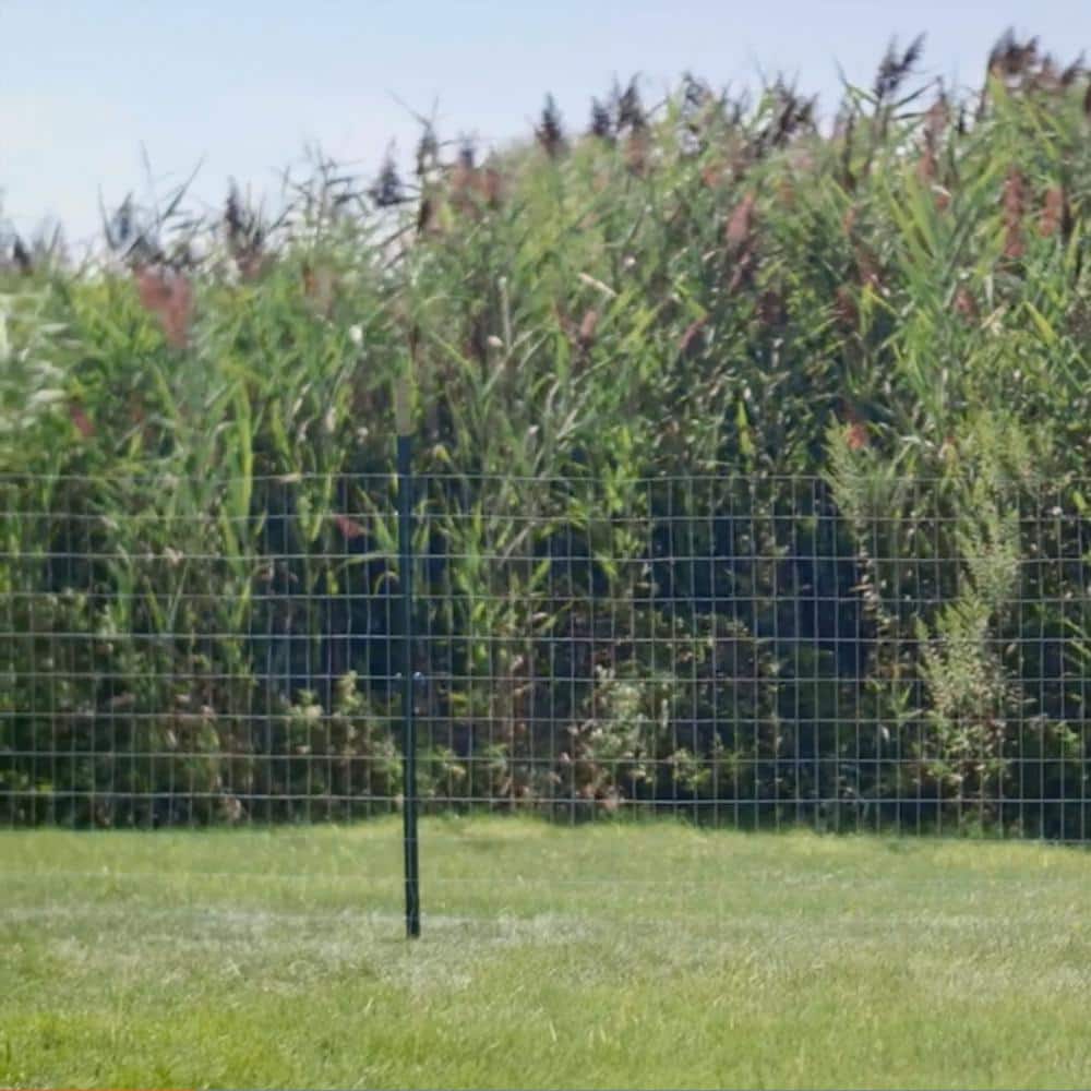 Everbilt 1-3/4 in. 3-1/2 in. 8 ft. Green Steel Fence T-Post with Anchor Plate (2)