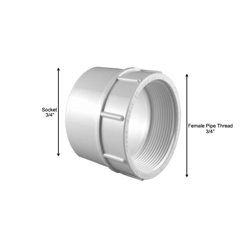 Charlotte Pipe 3/4 in. PVC Schedule 40 Female S x FPT Adapter (4)