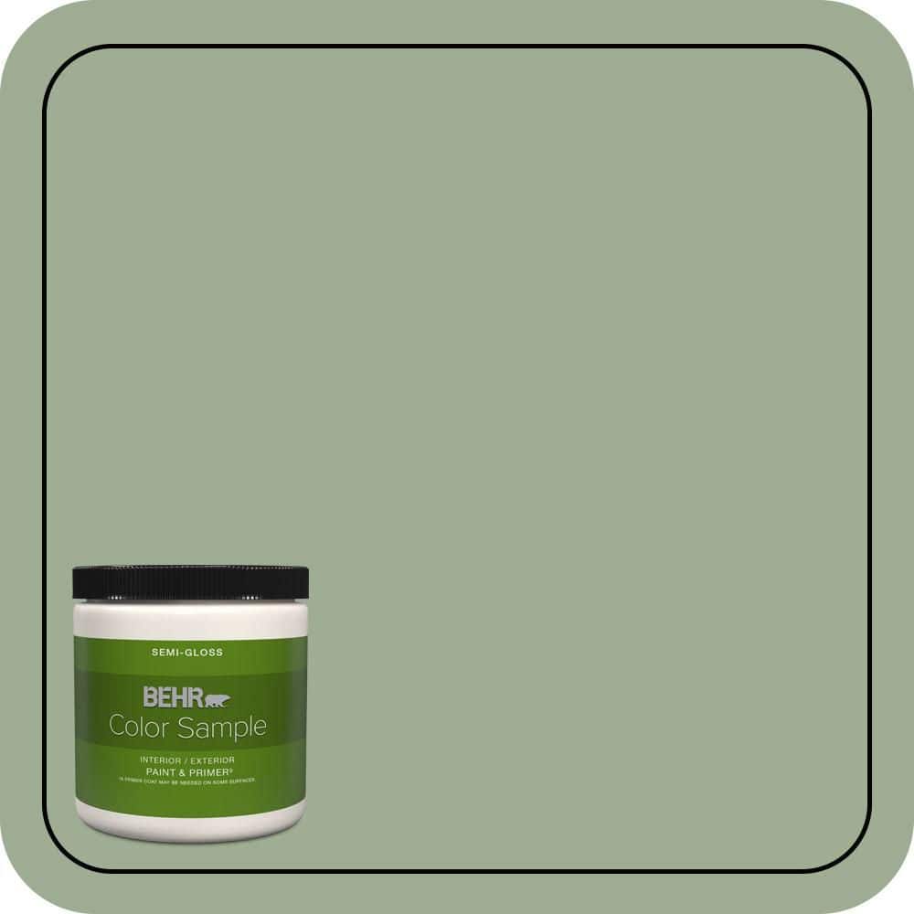 BEHR PREMIUM PLUS #S390-4 Roof Top Garden Enamel Low Odor & Primer (1)