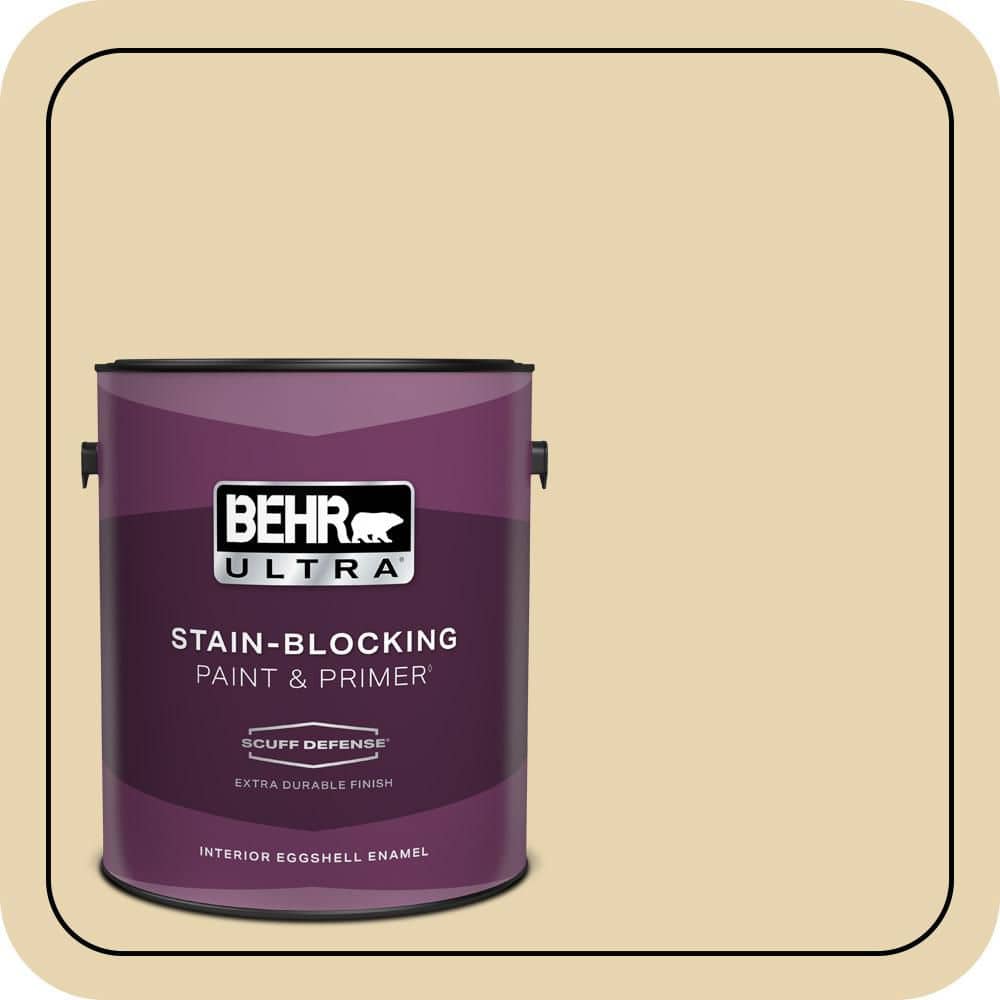 BEHR PREMIUM PLUS #360E-2 Castle Stone Enamel Interior/Exterior Paint & Primer Color Sample (1)