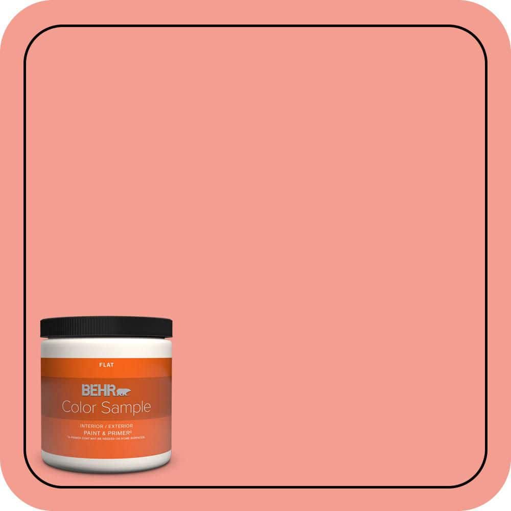 BEHR PREMIUM PLUS #170B-4 Cool Melon Enamel Low Odor & Primer (1)