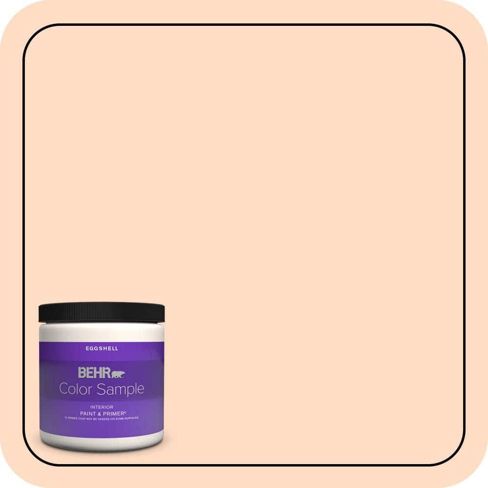 BEHR PREMIUM PLUS #260C-2 Salmon Creek Enamel Low Odor & Primer (1)