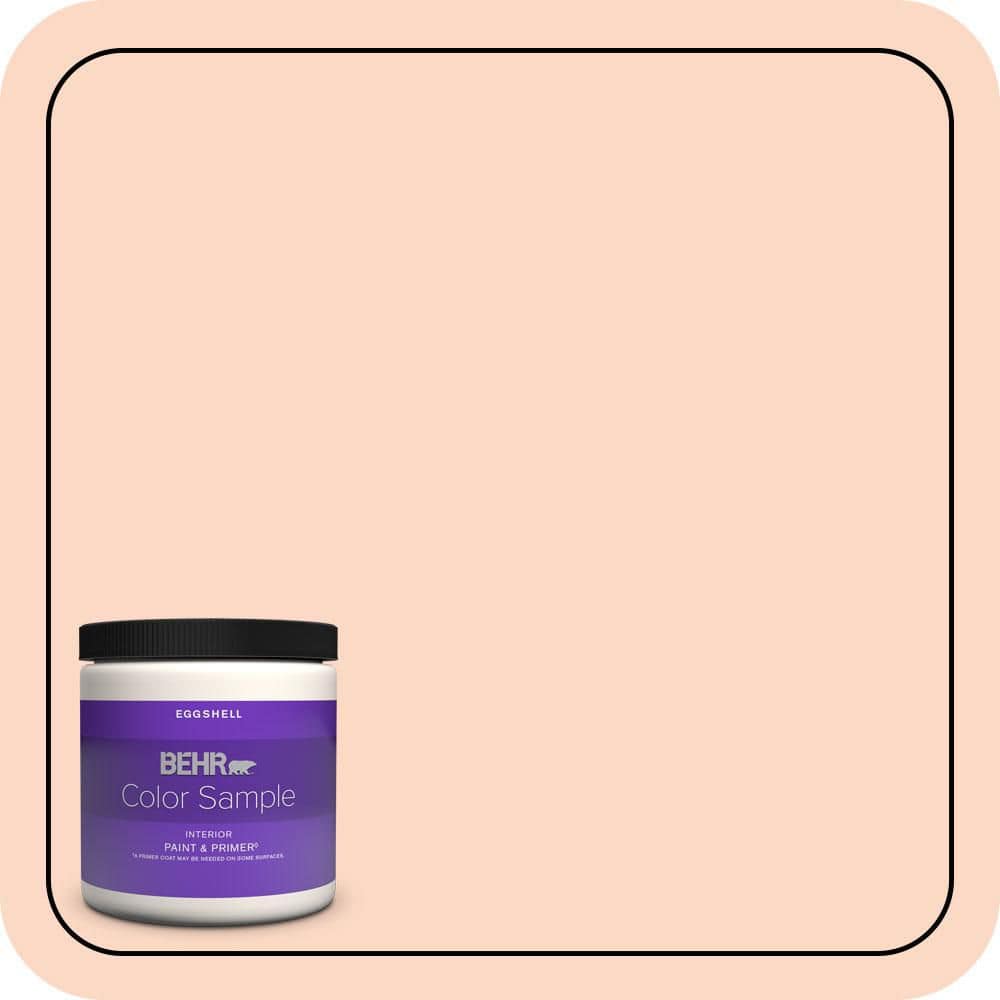 BEHR PREMIUM PLUS #P190-1 Fire Mist Enamel & Primer Color Sample (1)