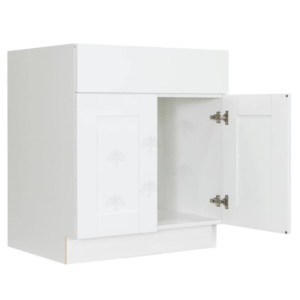 LIFEART CABINETRY Anchester Assembled W 21 in. D 33 in. H Bath Vanity Cabinet Only with 2 Door (3)