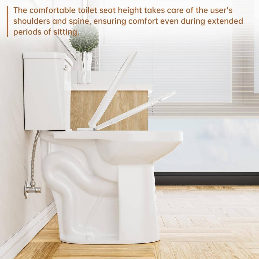 Simple Project 21 in. Extra Tall 2-piece 1.28 GPF Single Flush Elongated Toilet in White (Seat Included) (3)