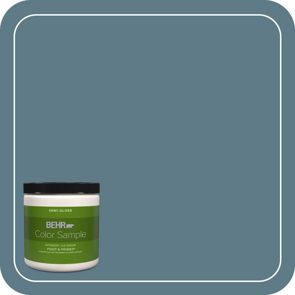 BEHR PREMIUM PLUS #ECC-54-2 Country Lake Flat & Primer (1)