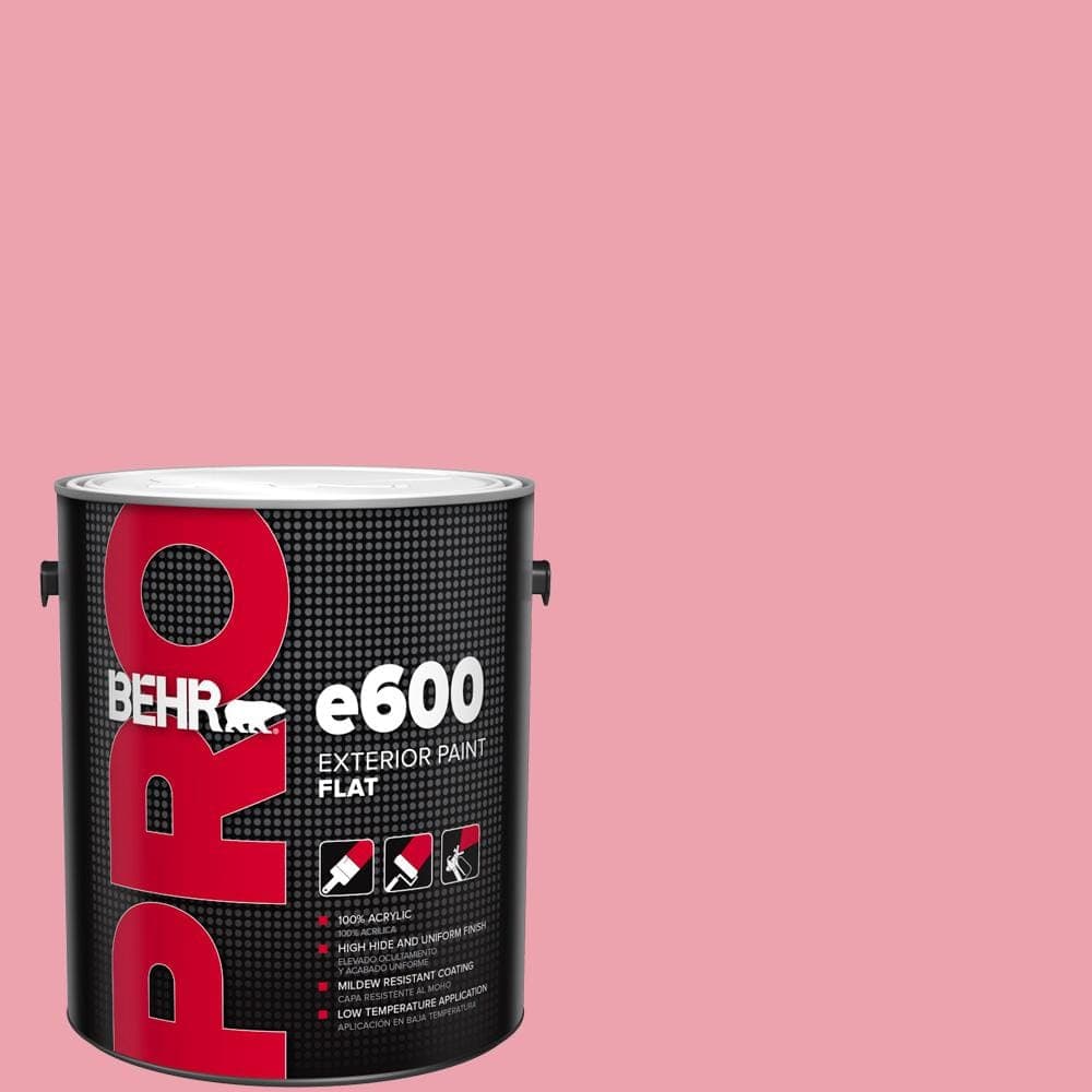 BEHR PRO 1 gal. #P150-3 Pinque Flat Exterior Paint
