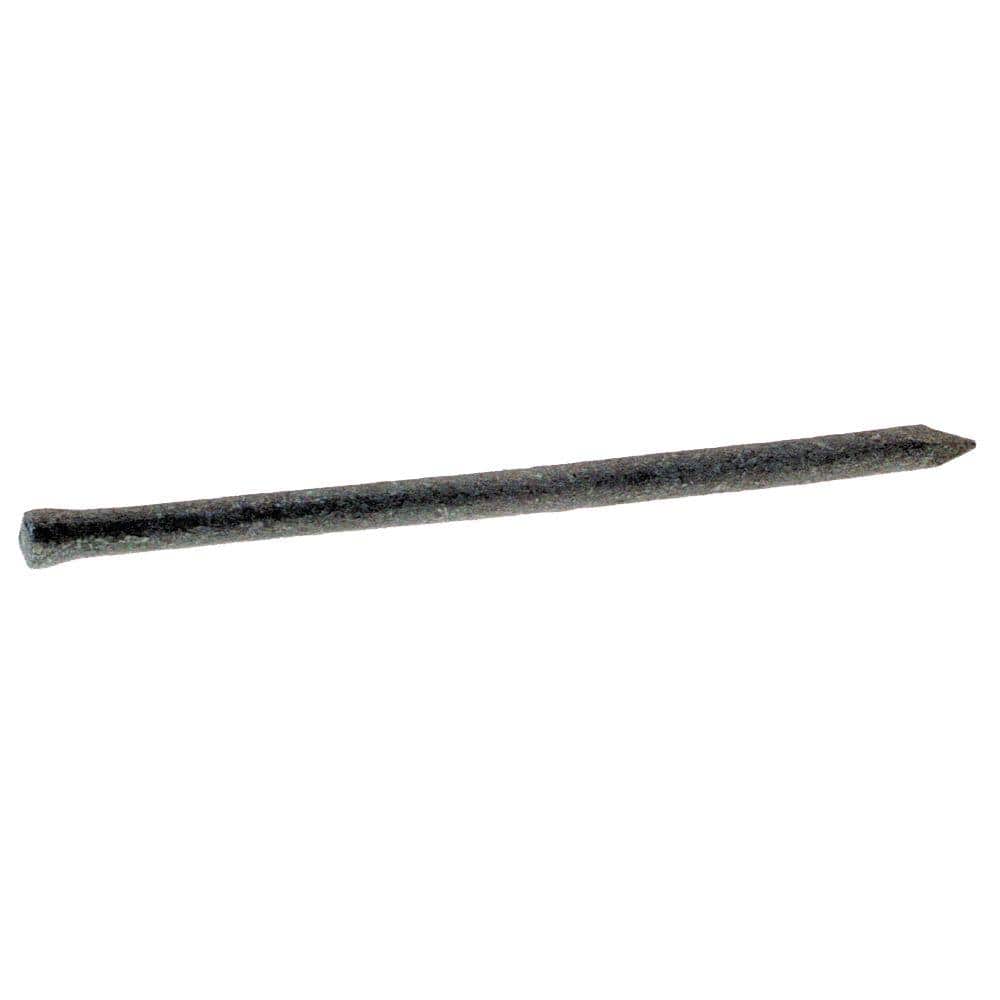 Grip-Rite 2-1/2 in. 12-1/2-Gauge 8-penny Exterior Galvanized Steel Casing Nails Box (2)
