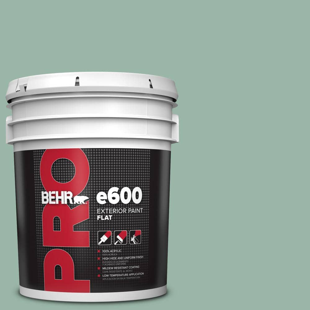 BEHR PRO 5 gal. #S420-3 Nile River Flat Exterior Paint