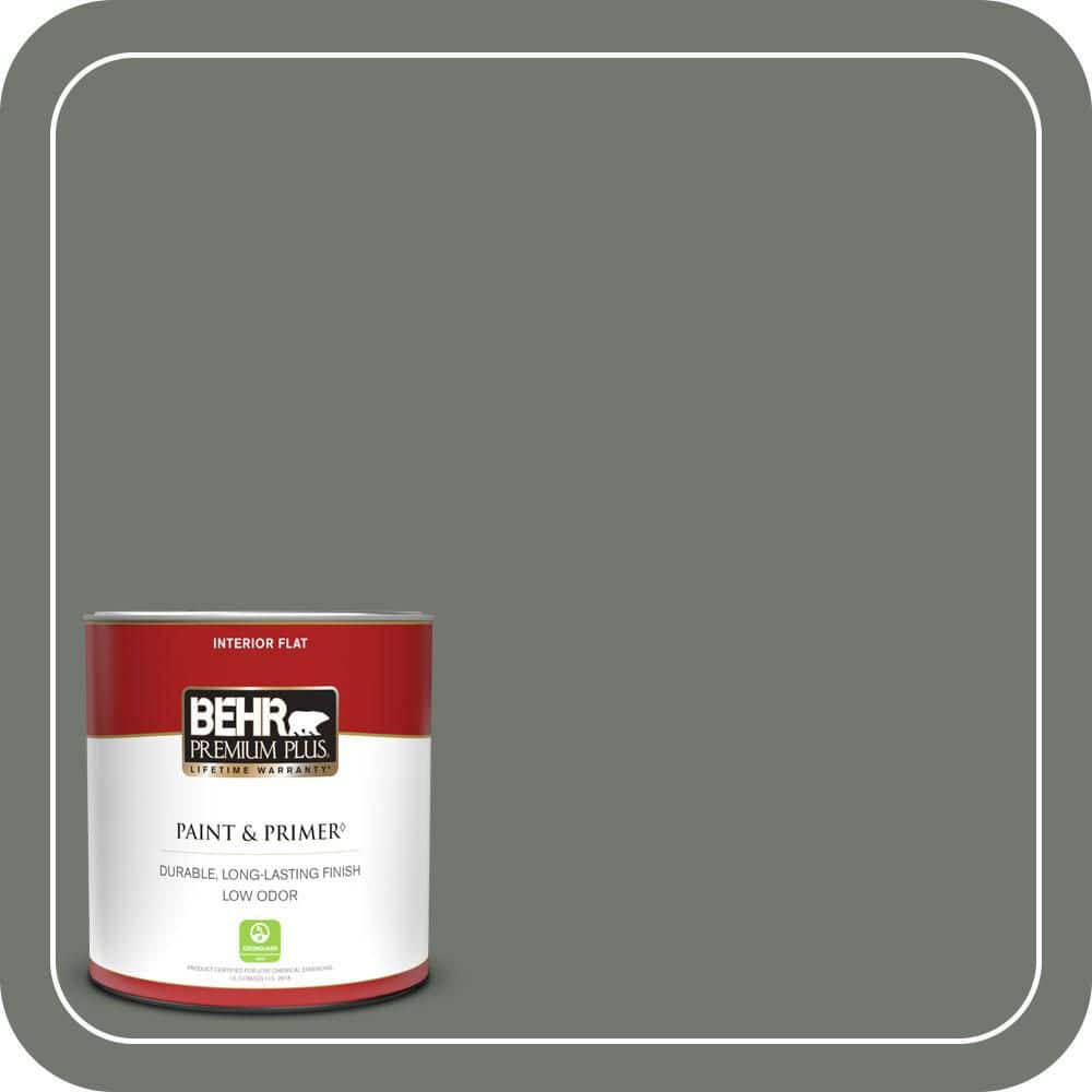 BEHR PREMIUM PLUS #T17-13 In the Woods Enamel & Primer Color Sample