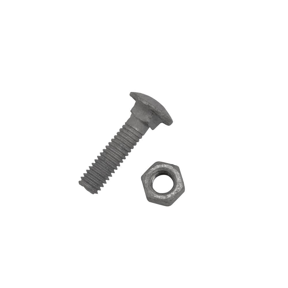 Everbilt 5/16 in. x 1-1/4 in. Galvanized Steel Carriage Bolt (20-Pack) (3)