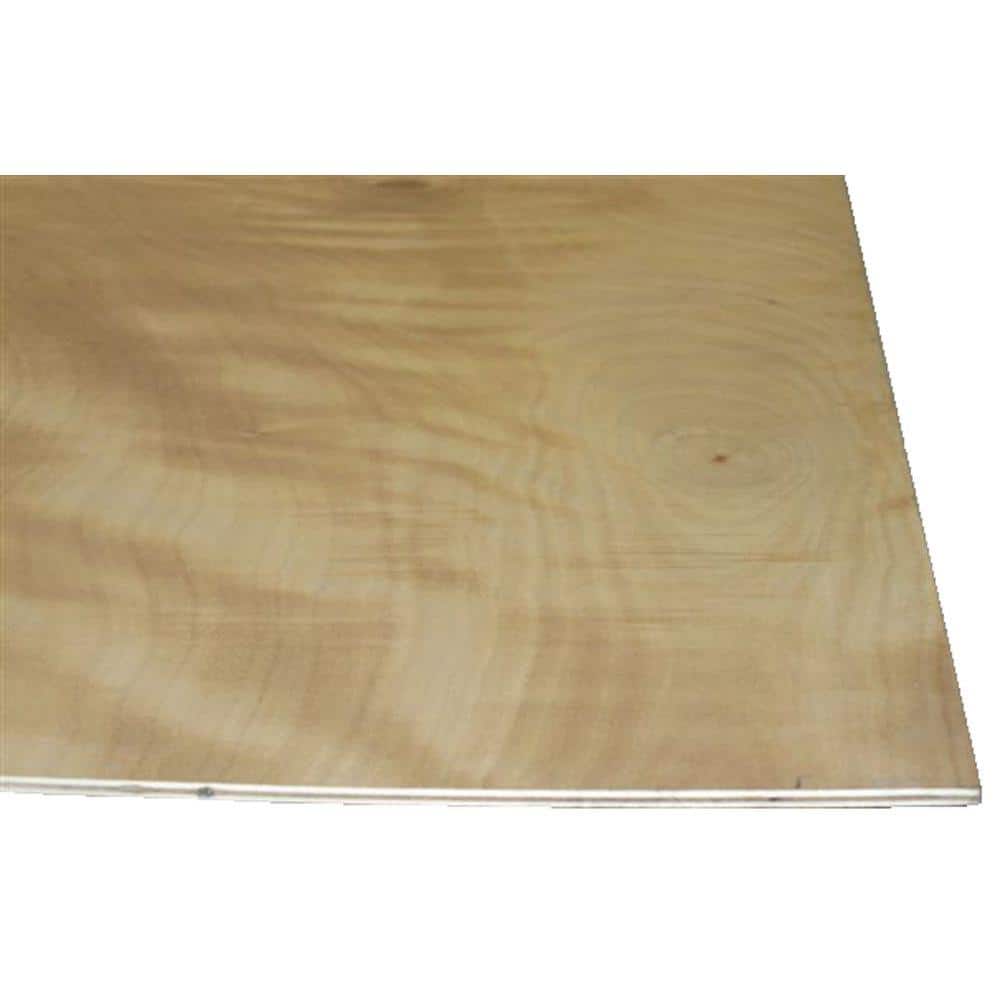 Unbranded 1/8 in. x 2 ft. x 4 ft. Tempered Hardboard