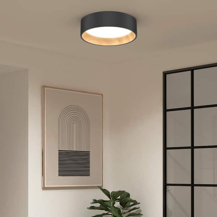 Flush Mount Ceiling Lights
