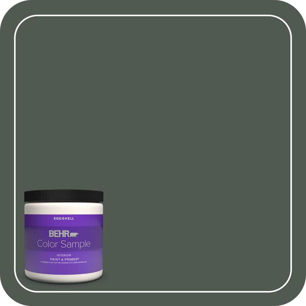 BEHR PREMIUM PLUS #N420-7 Alpine Trail Interior/Exterior Paint & Primer Color Sample (1)